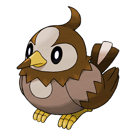 Starly cromatico