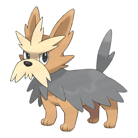 Shiny Herdier