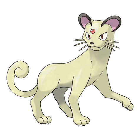 Persian shiny