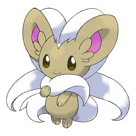 Cinccino variocolor