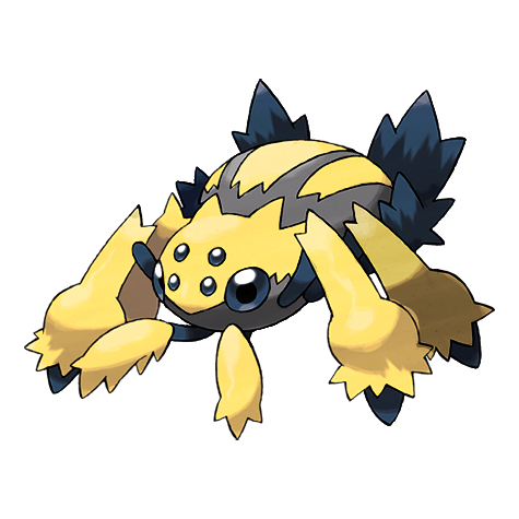 Voltula schillernd