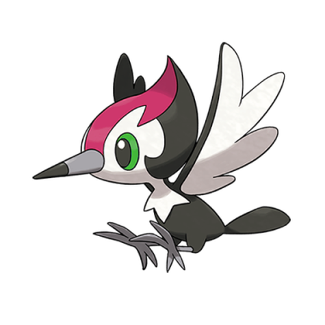 Pikipek cromatico