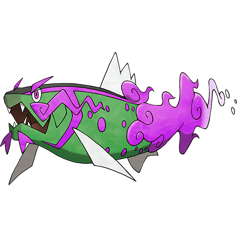 Basculegion variocolor