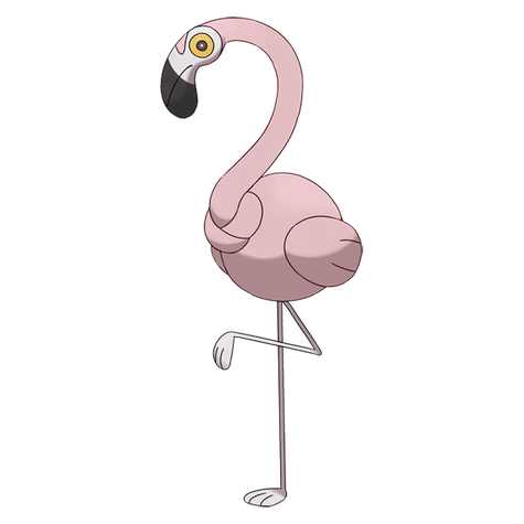 Flamigo variocolor