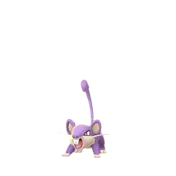Rattata