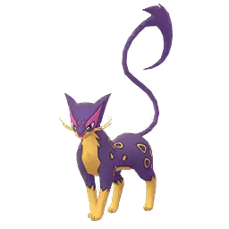 Léopardus