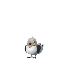 Poichigeon