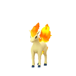 Ponyta