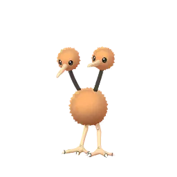 Doduo