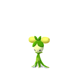 Olivado