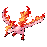 Shiny