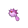 Shiny