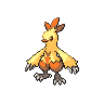 Shiny