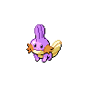 Shiny