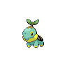 Shiny