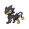 Shiny