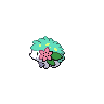 Shiny
