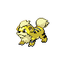 Shiny