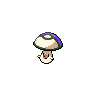 Shiny
