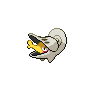 Shiny