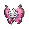 Shiny