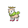 Shiny
