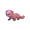 Shiny