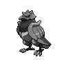 Shiny