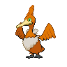 Shiny
