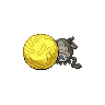 Shiny