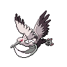 Shiny