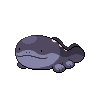 Shiny